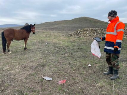 Pferd gegen Archäologe - Trotz eines verspeisten Passpunktes konnte M. Gruber (rechts) noch genügend Passpunkte für das Drohnenmodel einmessen